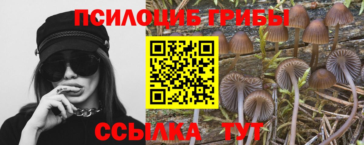 Псилоцибиновые грибы ЛСД  Вход с VPN  купить   Киров 