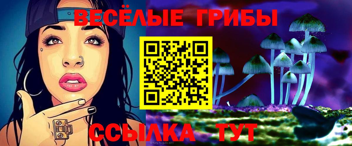 Галлюциногенные грибы мицелий Киров